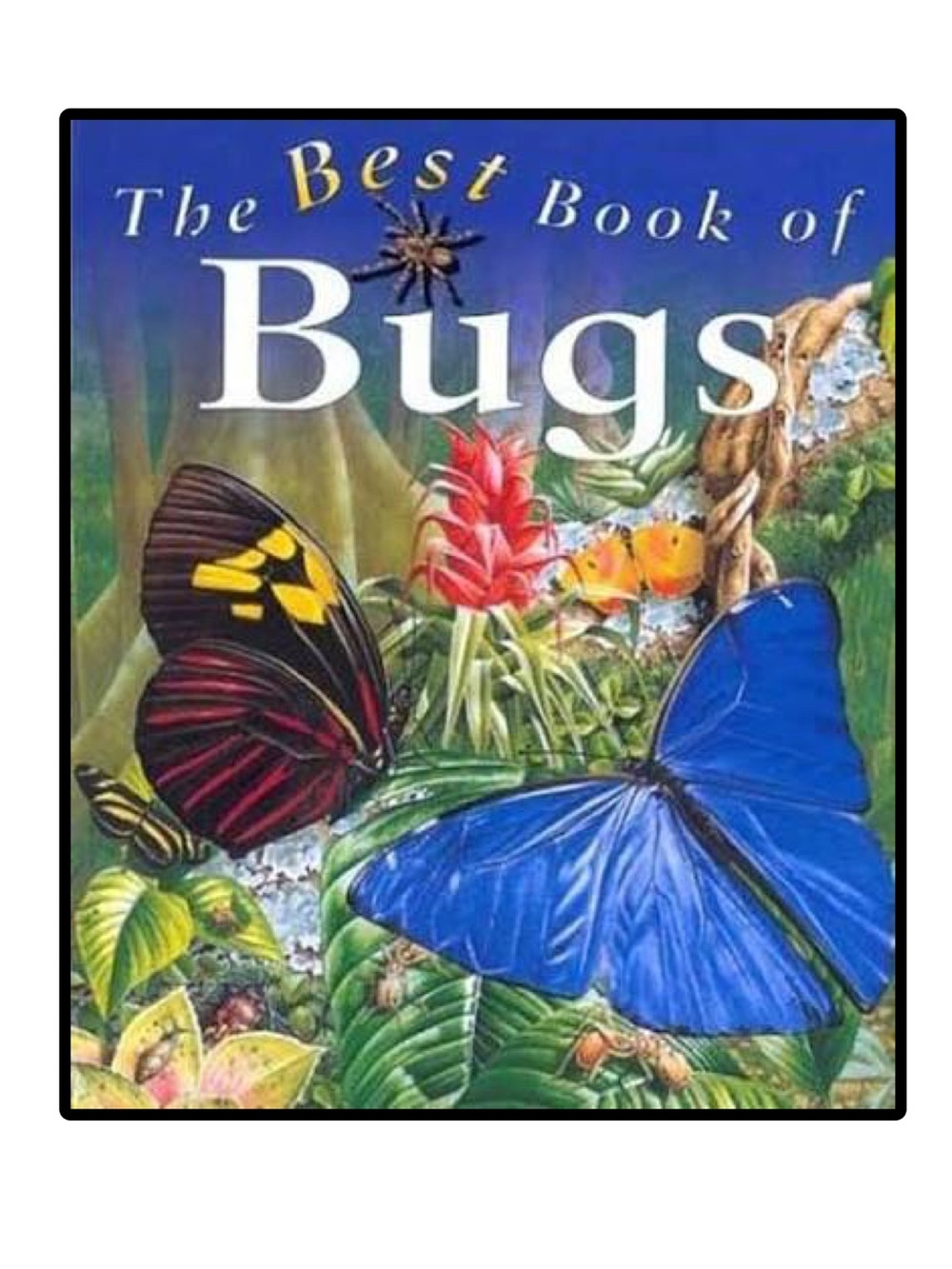 BUNDLE & SAVE 🦋 The Best Book of Bugs Softcover Book